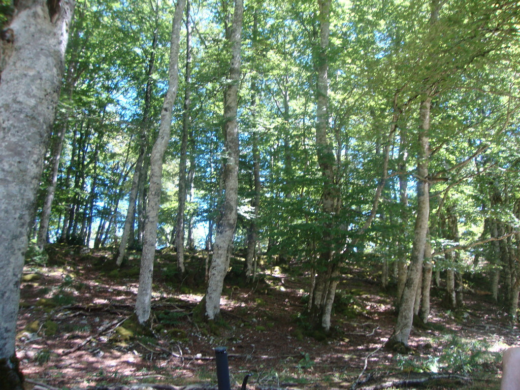 No s'ha trobat l'arxiu